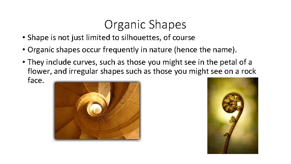 Organic Shapes • Shape is not just limited to silhouettes, of course • Organic