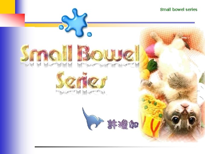 Small bowel series 