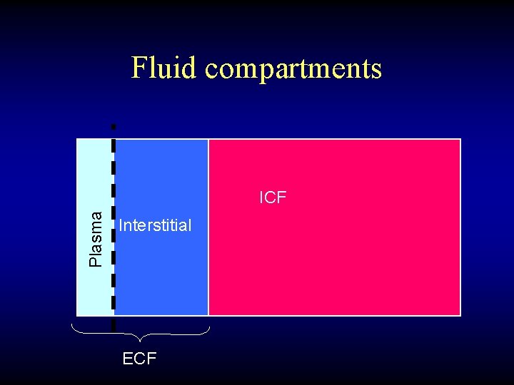 Fluid compartments Plasma ICF Interstitial ECF 