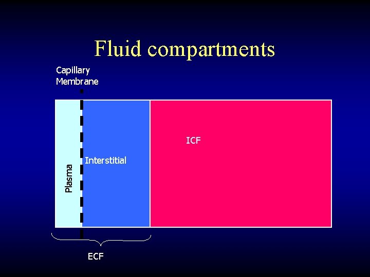 Fluid compartments Capillary Membrane Plasma ICF Interstitial ECF 