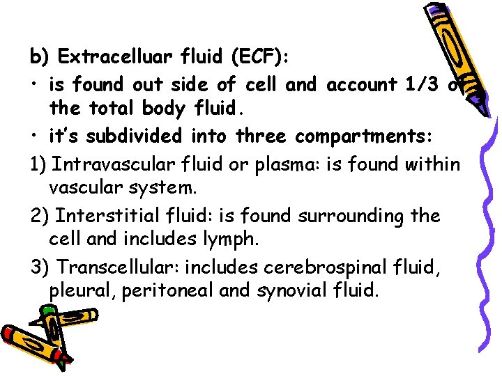 b) Extracelluar fluid (ECF): • is found out side of cell and account 1/3