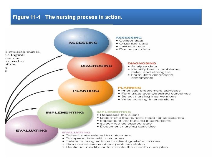 Figure 11 -1 The nursing process in action. 
