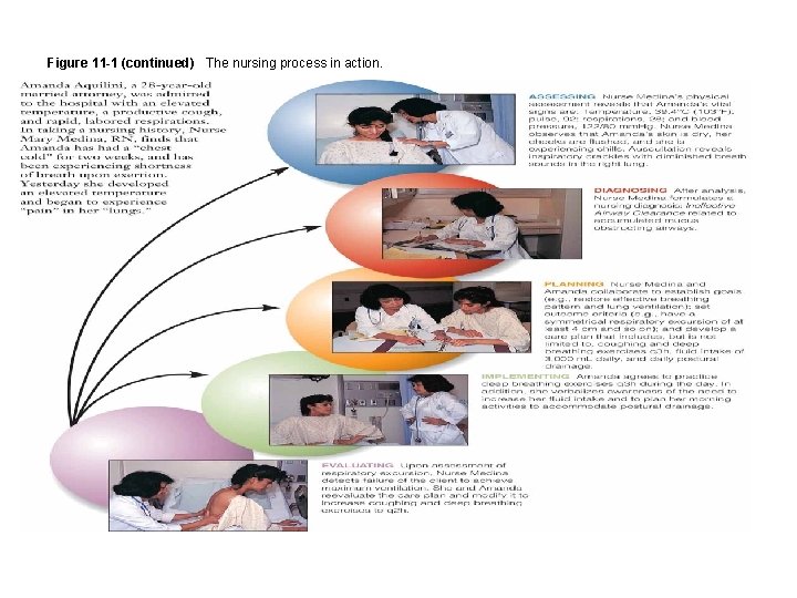 Figure 11 -1 (continued) The nursing process in action. 