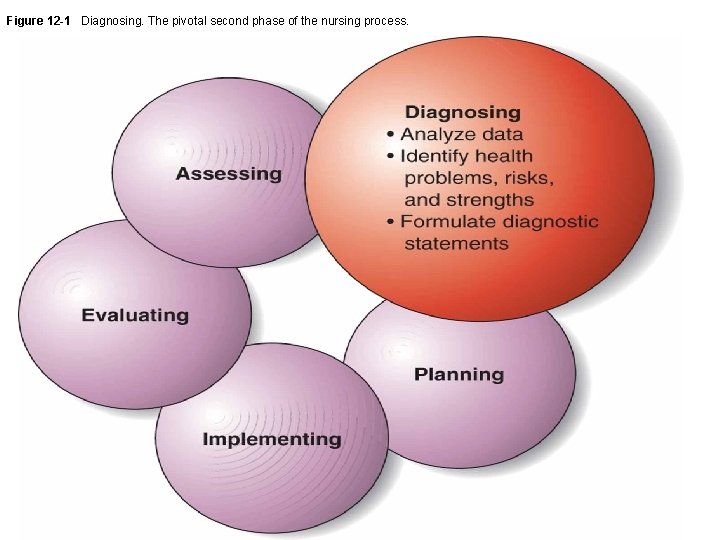 Figure 12 -1 Diagnosing. The pivotal second phase of the nursing process. 