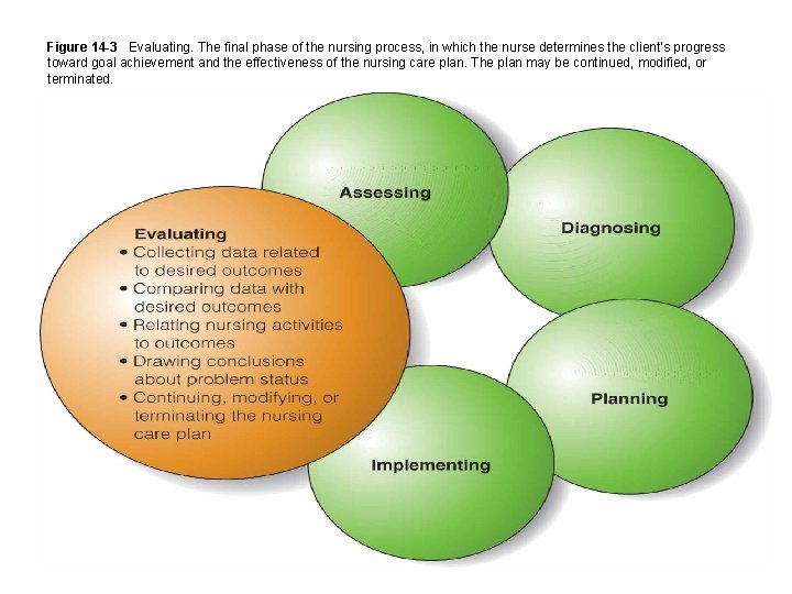 Figure 14 -3 Evaluating. The final phase of the nursing process, in which the