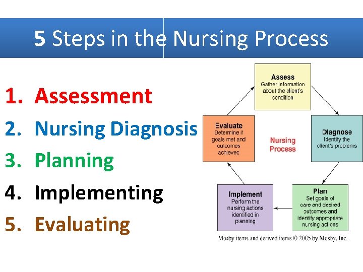 5 Steps in the Nursing Process 1. Assessment 2. 3. 4. 5. Nursing Diagnosis