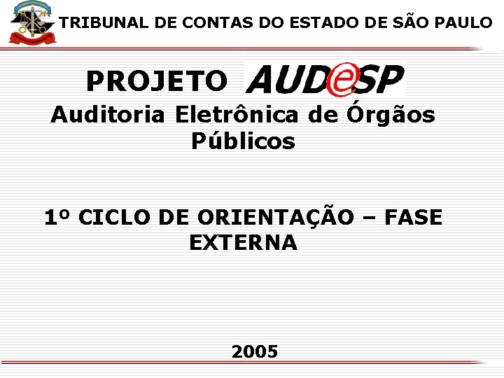 X TRIBUNAL DE CONTAS DO ESTADO DE SÃO PAULO PROJETO Auditoria Eletrônica de Órgãos