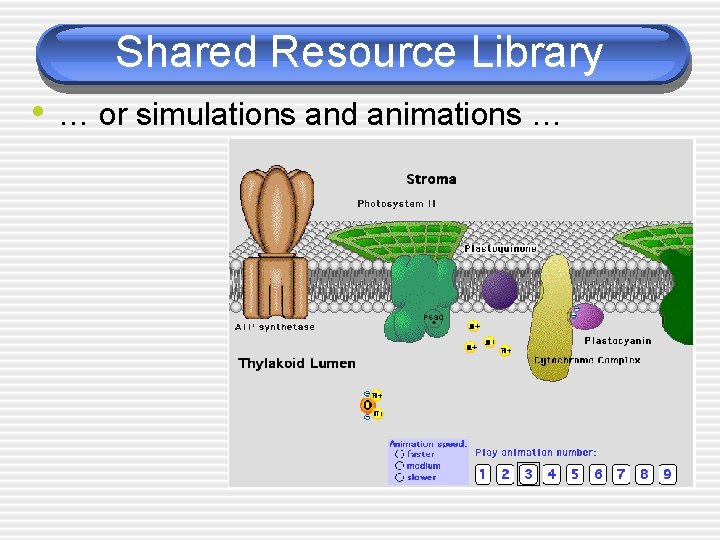 Shared Resource Library • … or simulations and animations … 