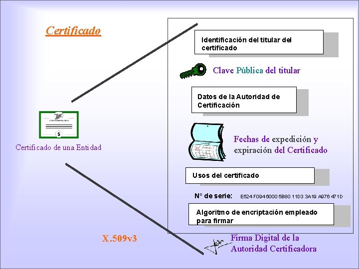 Certificado Identificación del titular del certificado Clave Pública del titular Datos de la Autoridad