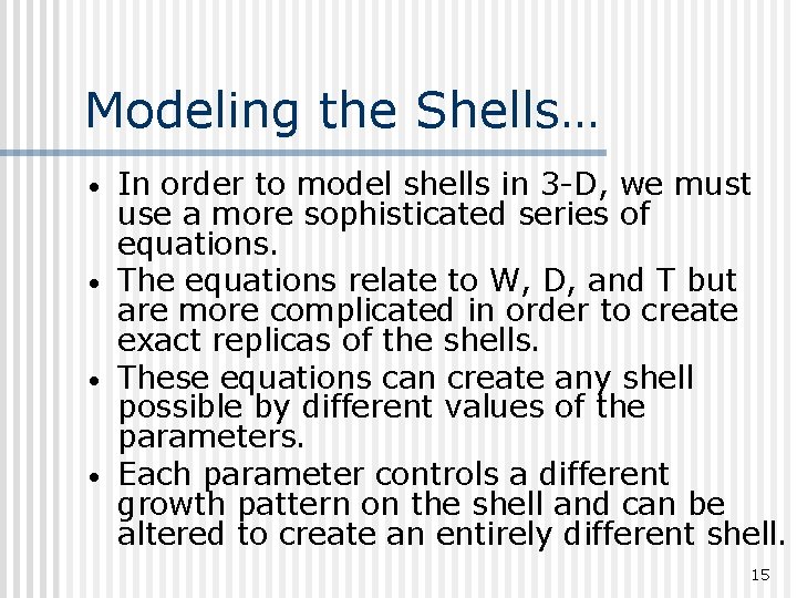 Modeling the Shells… • • In order to model shells in 3 -D, we