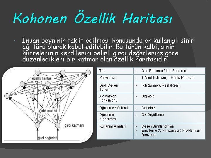 Kohonen Özellik Haritası İnsan beyninin taklit edilmesi konusunda en kullanışlı sinir ağı türü olarak