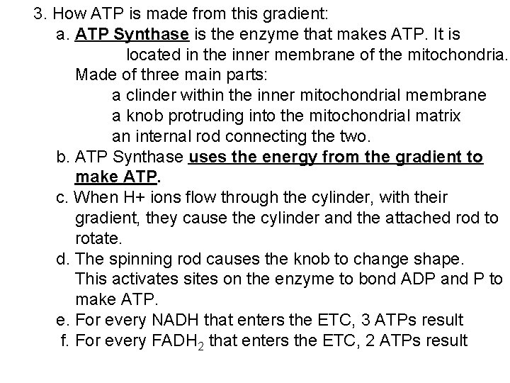 3. How ATP is made from this gradient: a. ATP Synthase is the enzyme