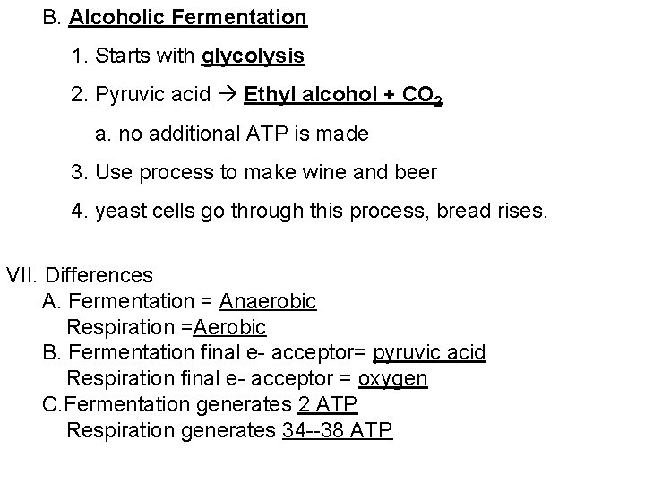 B. Alcoholic Fermentation 1. Starts with glycolysis 2. Pyruvic acid Ethyl alcohol + CO