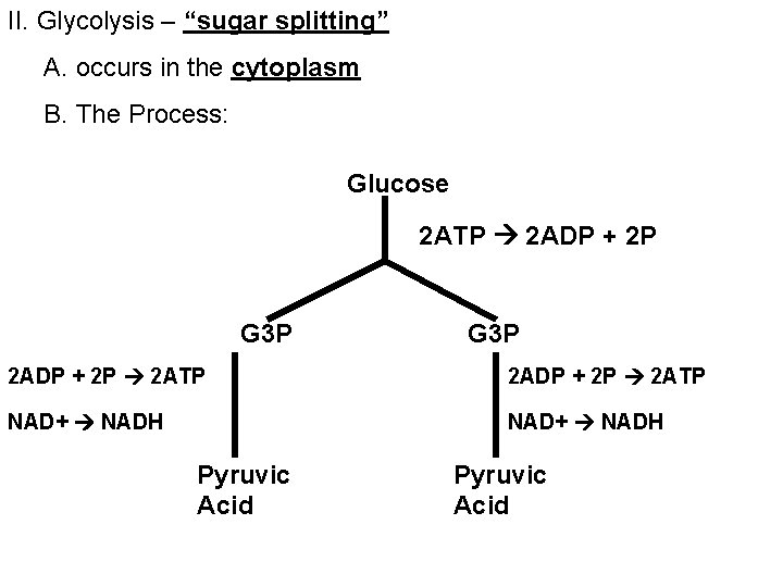 II. Glycolysis – “sugar splitting” A. occurs in the cytoplasm B. The Process: Glucose