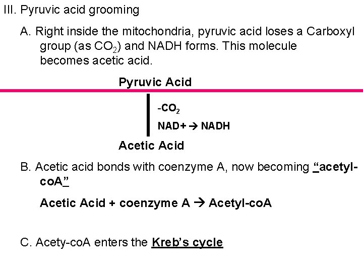 III. Pyruvic acid grooming A. Right inside the mitochondria, pyruvic acid loses a Carboxyl