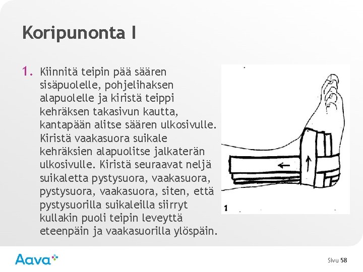 Koripunonta I 1. Kiinnitä teipin pää säären sisäpuolelle, pohjelihaksen alapuolelle ja kiristä teippi kehräksen