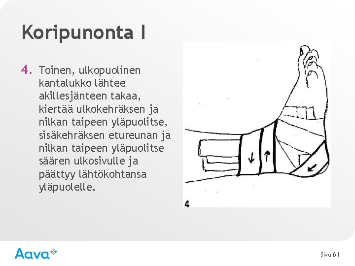 Koripunonta I 4. Toinen, ulkopuolinen kantalukko lähtee akillesjänteen takaa, kiertää ulkokehräksen ja nilkan taipeen