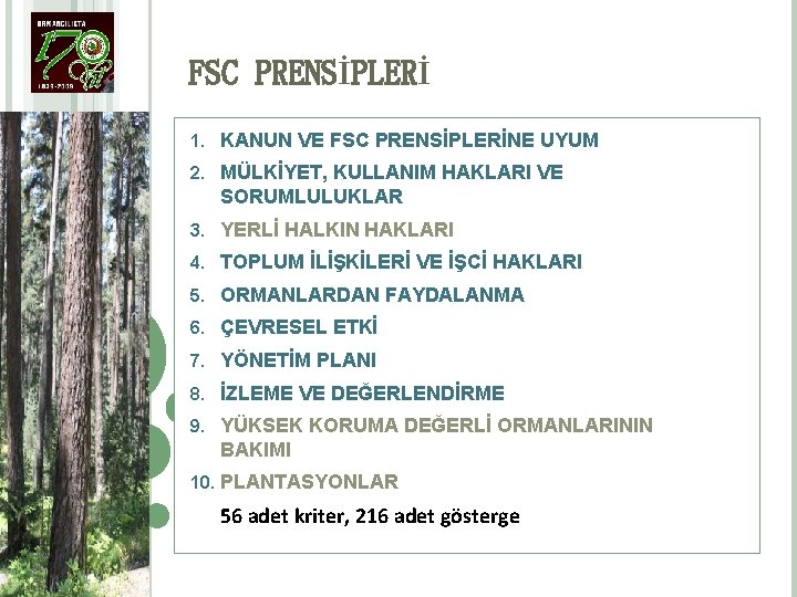 FSC PRENSİPLERİ 1. KANUN VE FSC PRENSİPLERİNE UYUM 2. MÜLKİYET, KULLANIM HAKLARI VE SORUMLULUKLAR