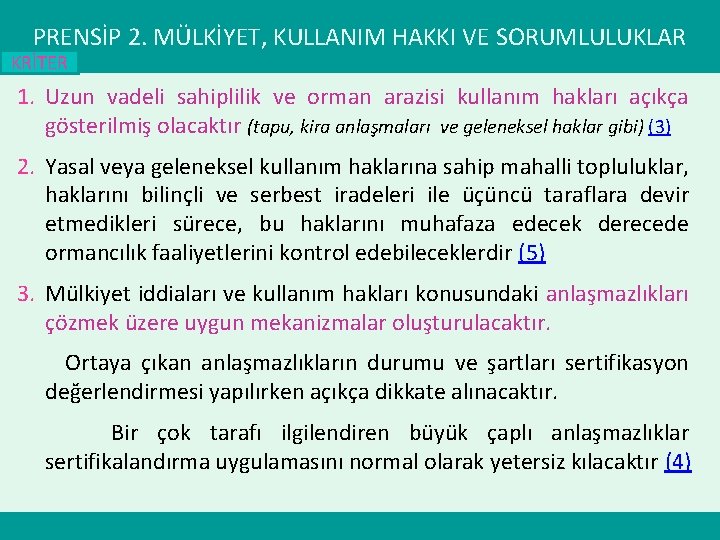 PRENSİP 2. MÜLKİYET, KULLANIM HAKKI VE SORUMLULUKLAR KRİTER 1. Uzun vadeli sahiplilik ve orman