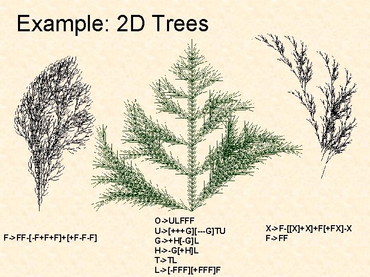 Example: 2 D Trees F->FF-[-F+F+F]+[+F-F-F] O->ULFFF U->[+++G][---G]TU G->+H[-G]L H->-G[+H]L T->TL L->[-FFF][+FFF]F X->F-[[X]+X]+F[+FX]-X F->FF 