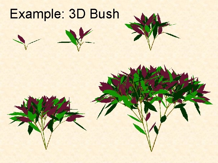 Example: 3 D Bush 