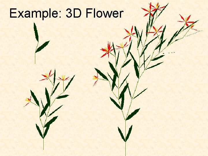 Example: 3 D Flower 