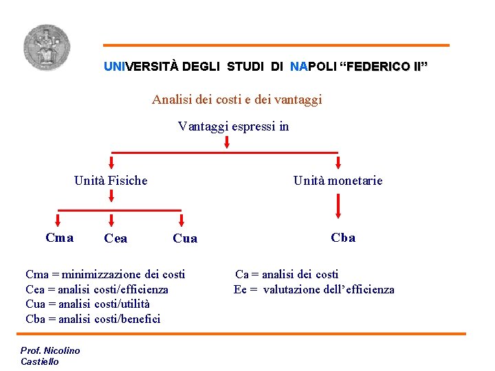 UNIVERSITÀ DEGLI STUDI DI NAPOLI “FEDERICO II” Analisi dei costi e dei vantaggi Vantaggi