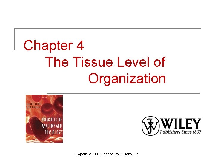 Chapter 4 The Tissue Level of Organization Copyright 2009, John Wiley & Sons, Inc.