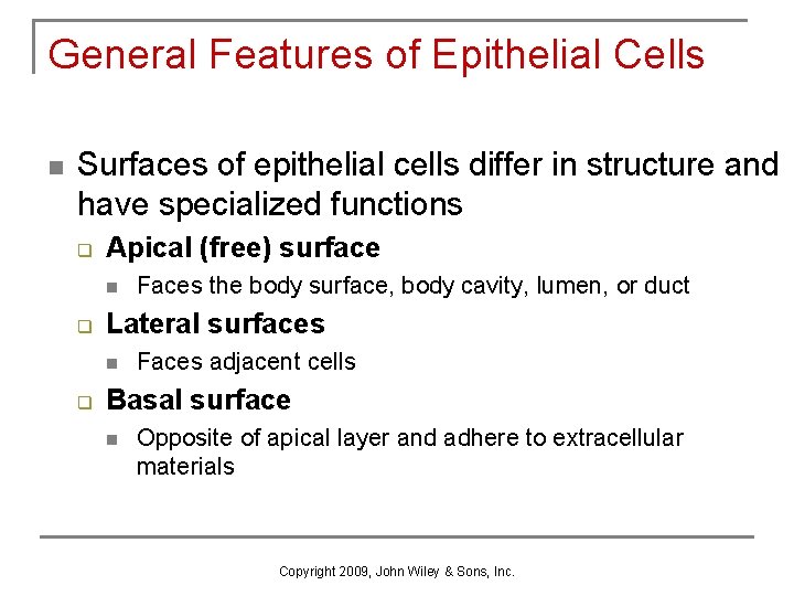 General Features of Epithelial Cells n Surfaces of epithelial cells differ in structure and