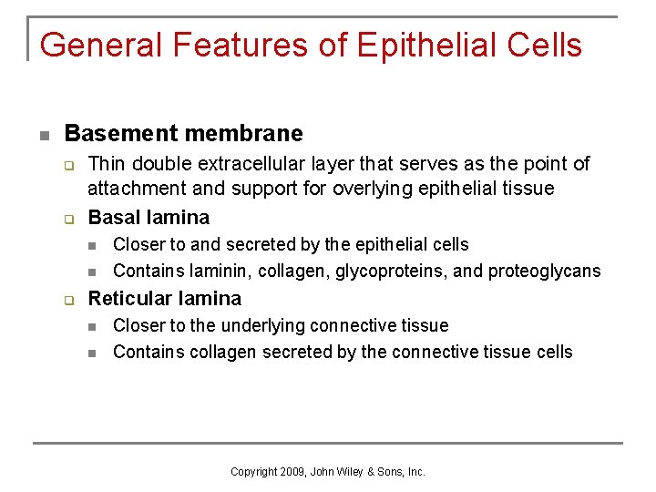 General Features of Epithelial Cells n Basement membrane q q Thin double extracellular layer