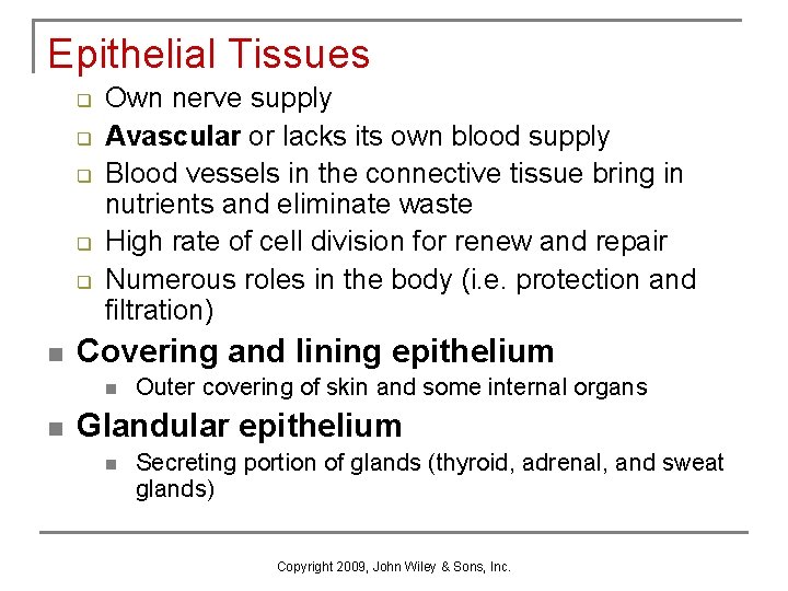 Epithelial Tissues q q q n Own nerve supply Avascular or lacks its own