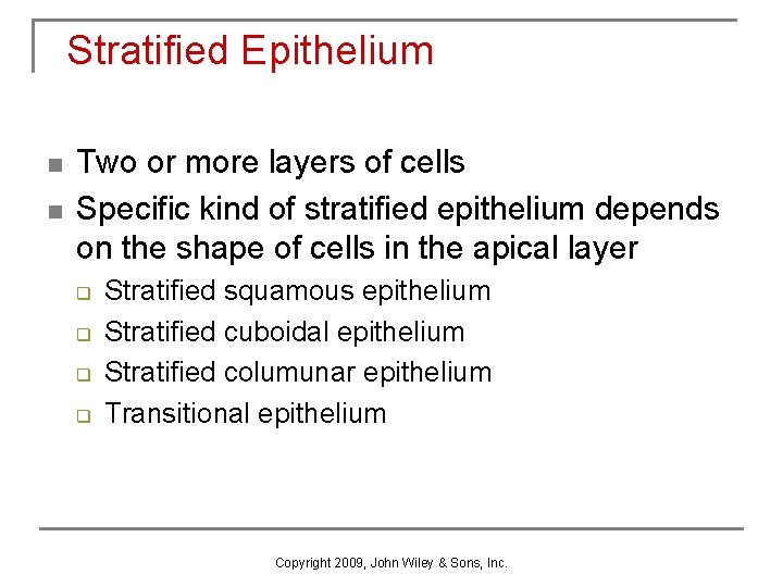 Stratified Epithelium n n Two or more layers of cells Specific kind of stratified