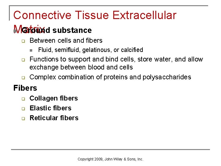 Connective Tissue Extracellular n Ground substance Matrix q Between cells and fibers n q