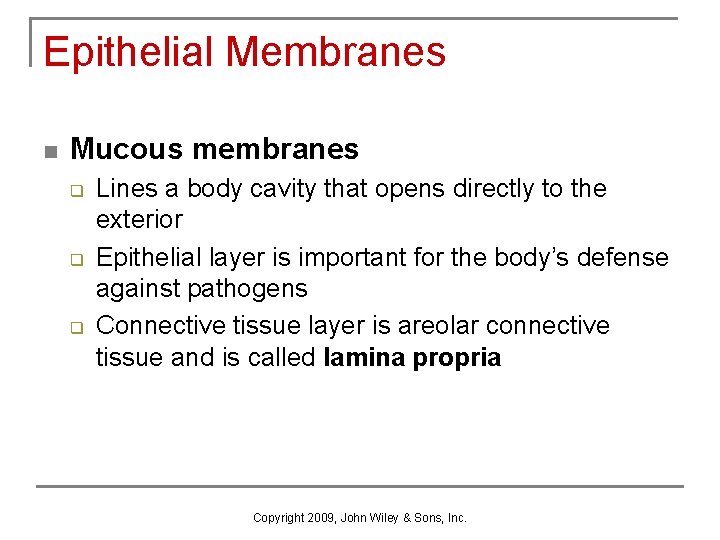 Epithelial Membranes n Mucous membranes q q q Lines a body cavity that opens