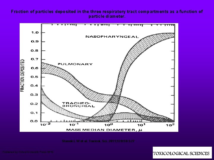Fraction of particles deposited in the three respiratory tract compartments as a function of
