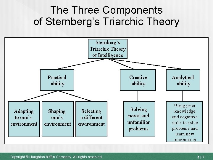 The Three Components of Sternberg’s Triarchic Theory of Intelligence Adapting to one’s environment Practical