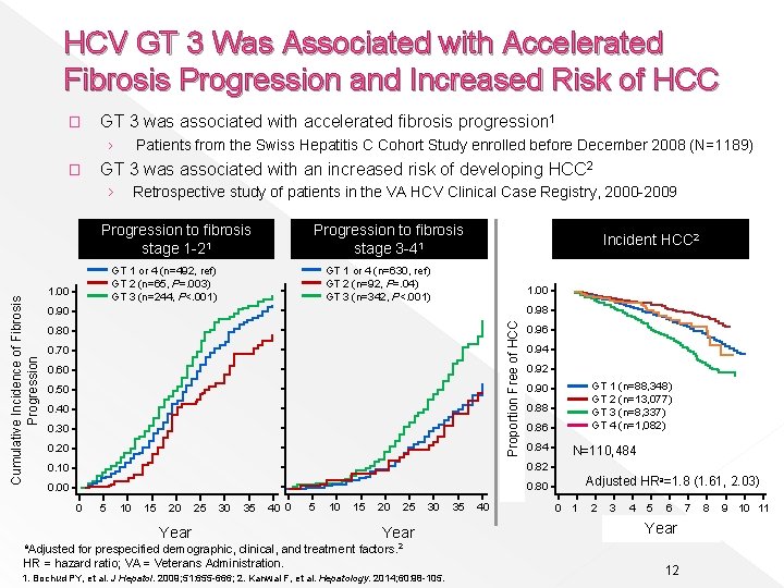 HCV GT 3 Was Associated with Accelerated Fibrosis Progression and Increased Risk of HCC