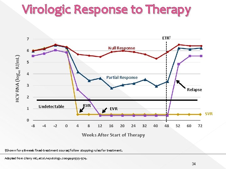 Virologic Response to Therapy ETR† HCV RNA (log 10 IU/m. L) Null Response Partial