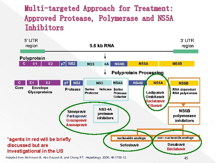 Multi-targeted Approach for Treatment: Approved Protease, Polymerase and NS 5 A Inhibitors Ledipasvir Ombitasvir