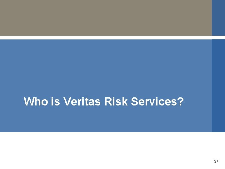 Who is Veritas Risk Services? 37 