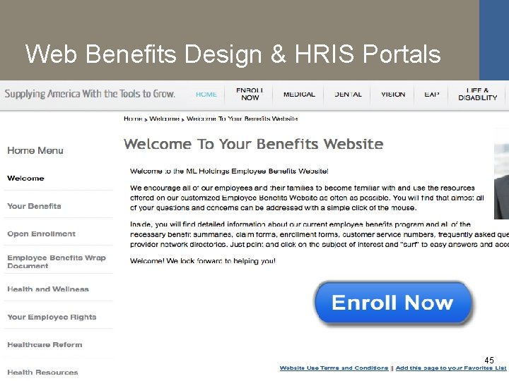 Web Benefits Design & HRIS Portals 45 45 45 