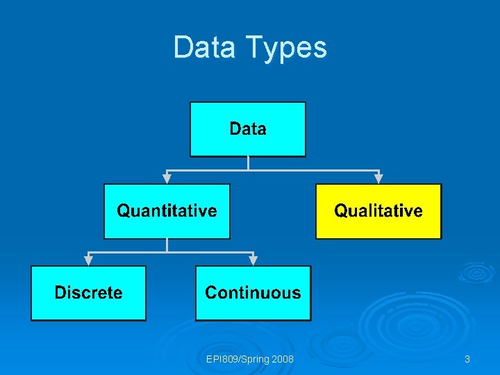 Data Types EPI 809/Spring 2008 3 