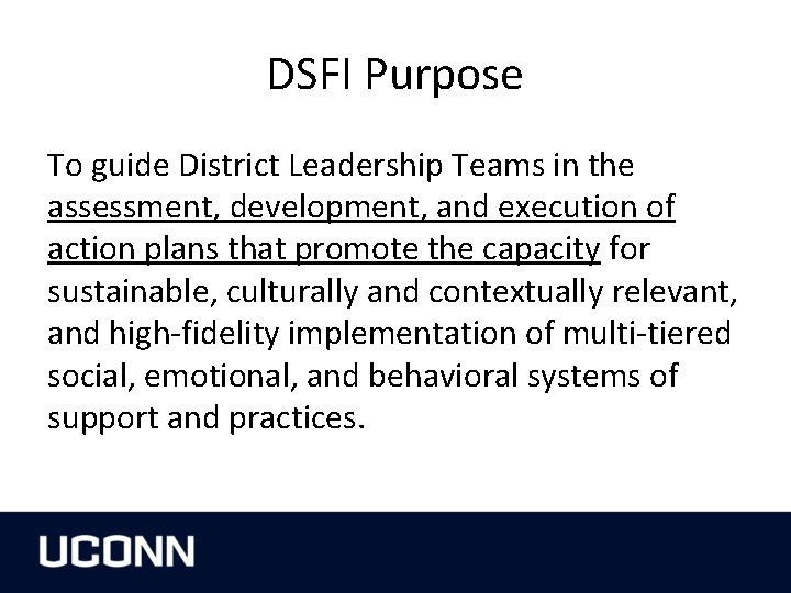 DSFI Purpose To guide District Leadership Teams in the assessment, development, and execution of