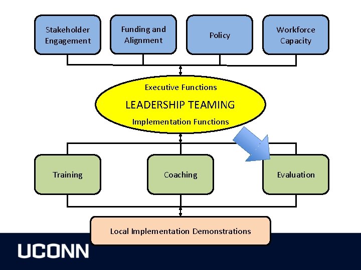 Stakeholder Engagement Funding and Alignment Policy Workforce Capacity Executive Functions LEADERSHIP TEAMING Implementation Functions