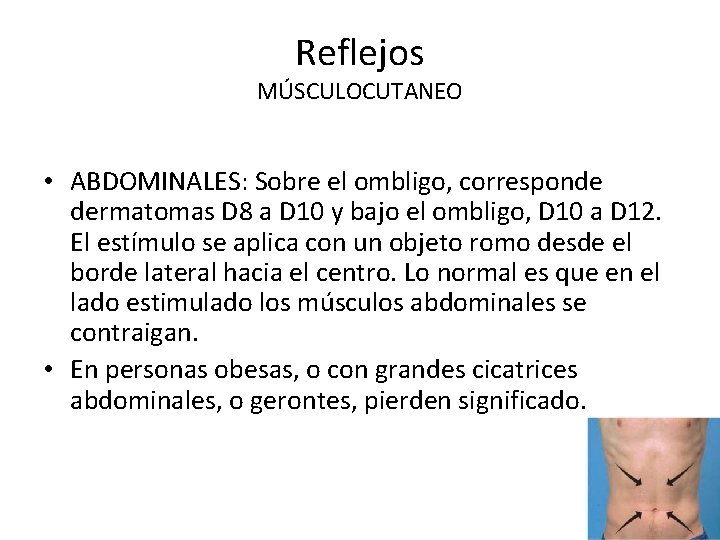Reflejos MÚSCULOCUTANEO • ABDOMINALES: Sobre el ombligo, corresponde dermatomas D 8 a D 10