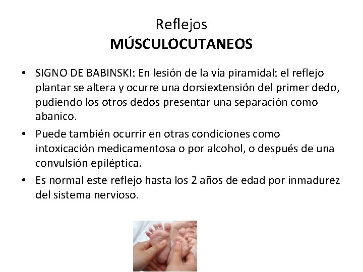 Reflejos MÚSCULOCUTANEOS • SIGNO DE BABINSKI: En lesión de la vía piramidal: el reflejo