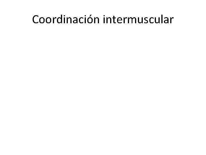 Coordinación intermuscular 
