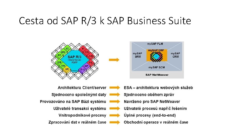 Cesta od SAP R/3 k SAP Business Suite 