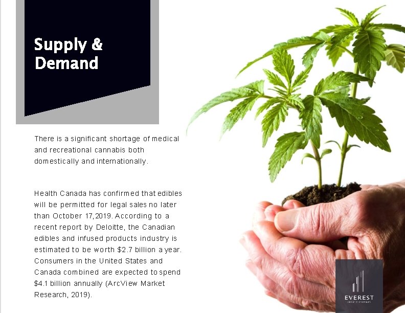 Supply & Demand There is a significant shortage of medical and recreational cannabis both