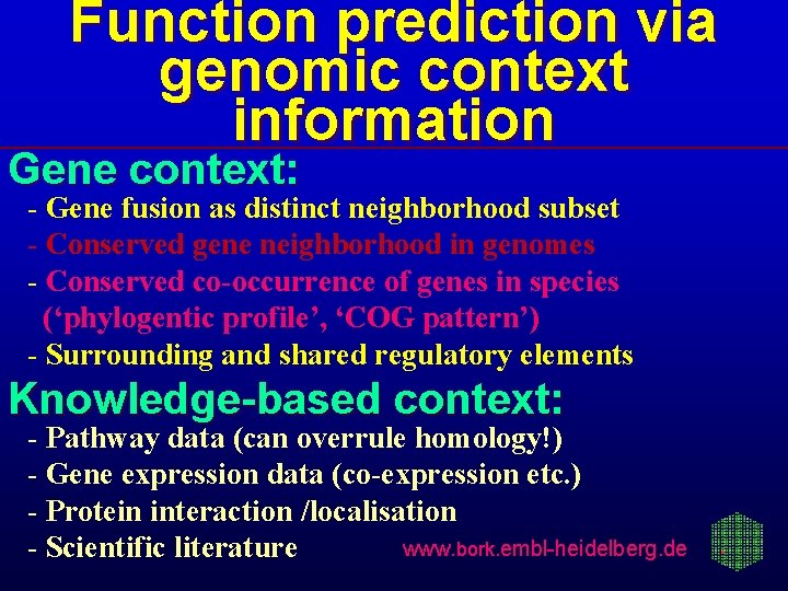 Function prediction via genomic context information Gene context: - Gene fusion as distinct neighborhood